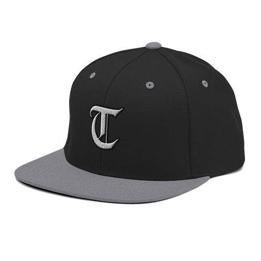 Roman Snapback Gray